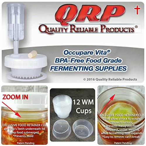 Occupare Vita BETTER than Glass Fermentation Weights - Food Grade Plastic Mason Jar Food Fermentation Weights CUPS keep food submerged in brine (12-3' WIDE MOUTH CUPS ONLY, NOT KITS)