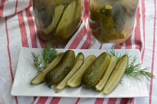 Naturally Fermented Pickles [The Complete Guide] - MakeSauerkraut