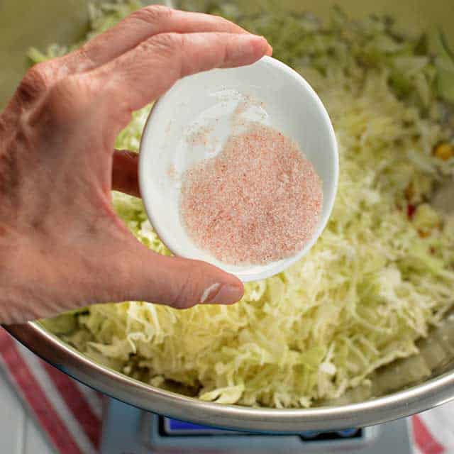 Hand holding small white bowl with pink salt being slowly poured over thinly sliced cabbages. | MakeSauerkraut.com