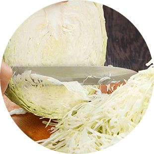Slicing cabbage for making sauerkraut. | MakeSauerkraut.com