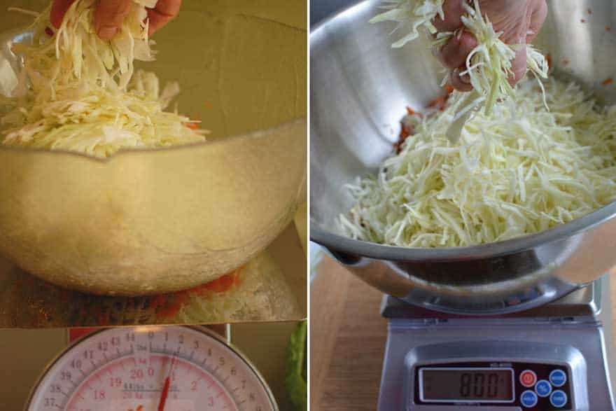 Add sliced cabbage to bowl until weight is 1 3/4 pounds for a manual scale or 800 grams for a digital scale. | MakeSauerkraut.com