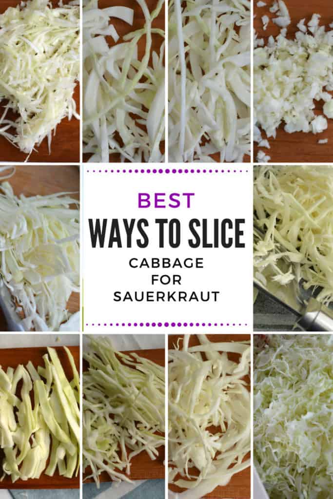 How to slice cabbage in a food processor