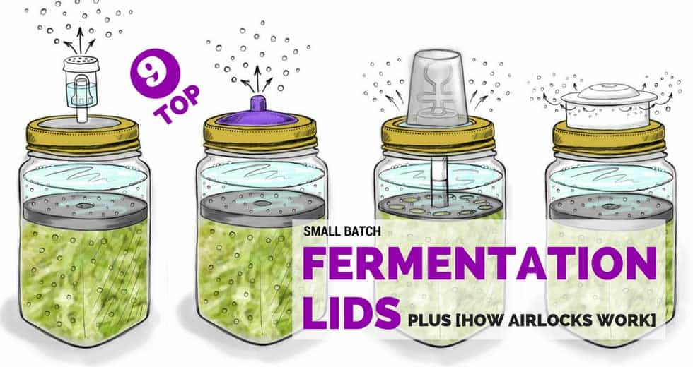 The Best Fermentation Jars and Lids