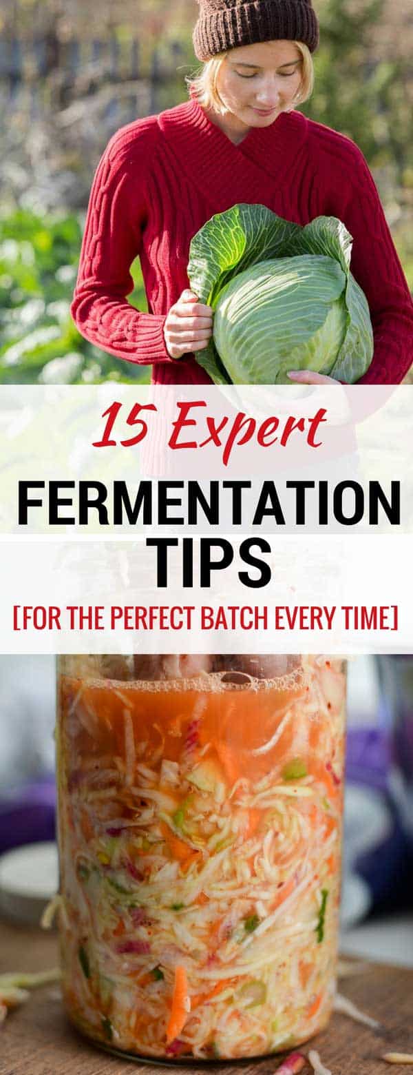 15 EXPERT Fermentation Tips to Ferment the Perfect Batch Every Time ...
