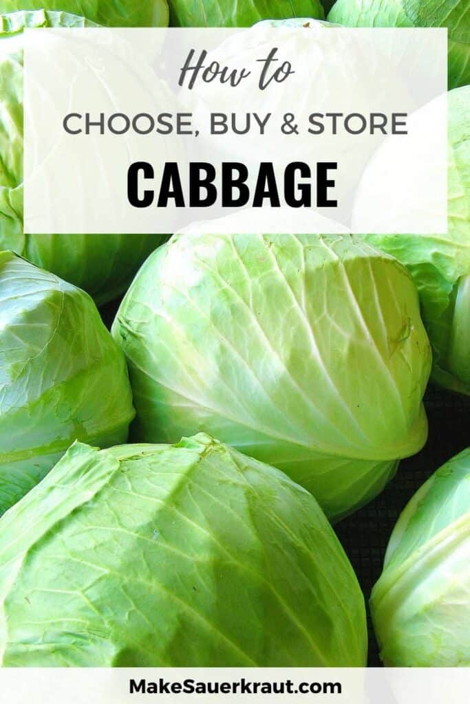 Heads of Cabbages (How To Choose, Buy and Store Cabbage)