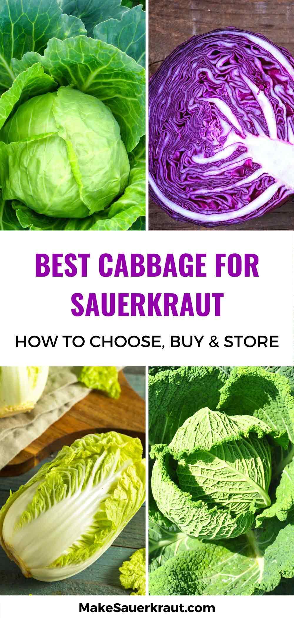 Best Cabbage for Sauerkraut Discover the Secret to Tangy Results