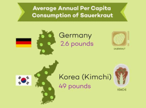 Kimchi Vs. Sauerkraut [The Complete Guide] - MakeSauerkraut