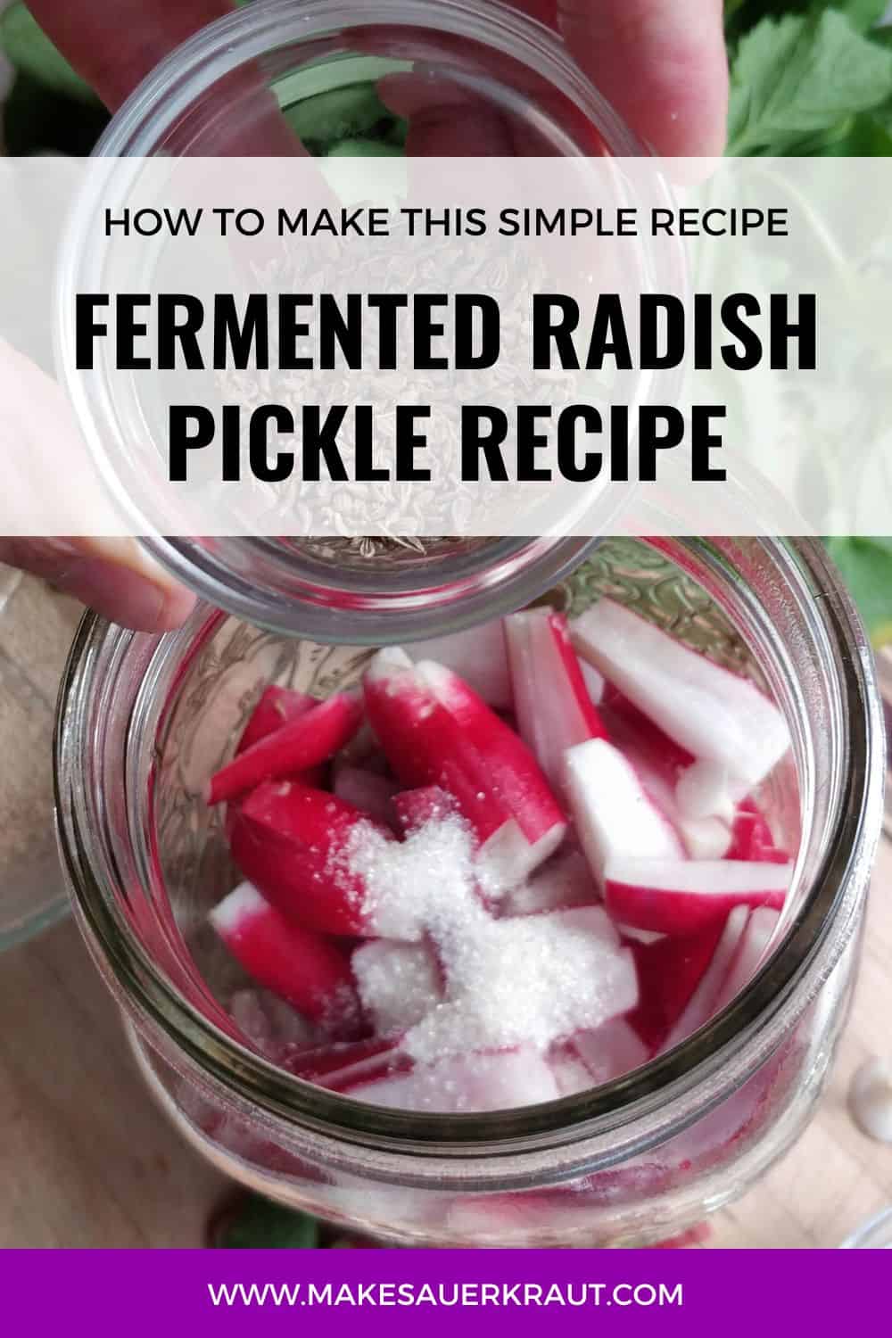 Fermented Radish Pickle Recipe {Simple} - MakeSauerkraut