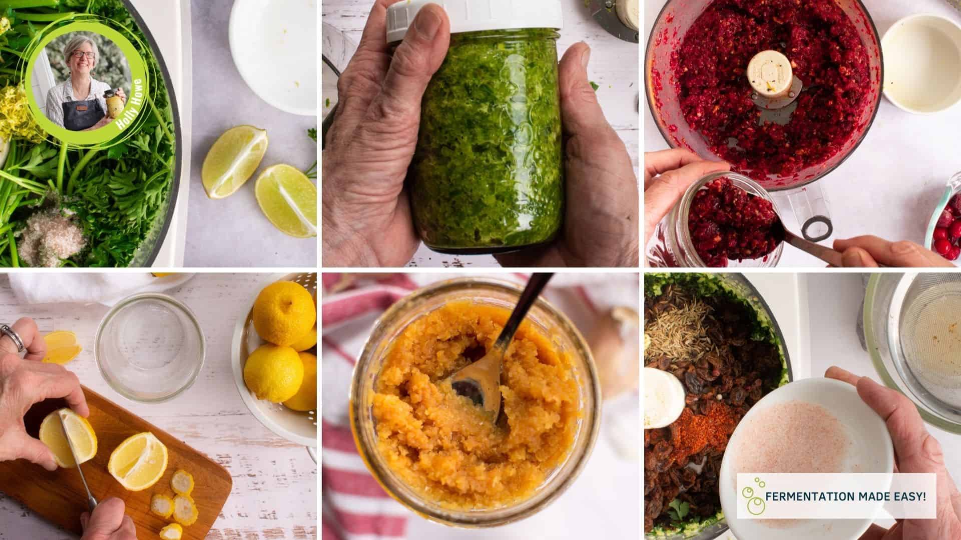A six grid image showing different pastes, relishes and chutneys. | MakeSauerkraut.com