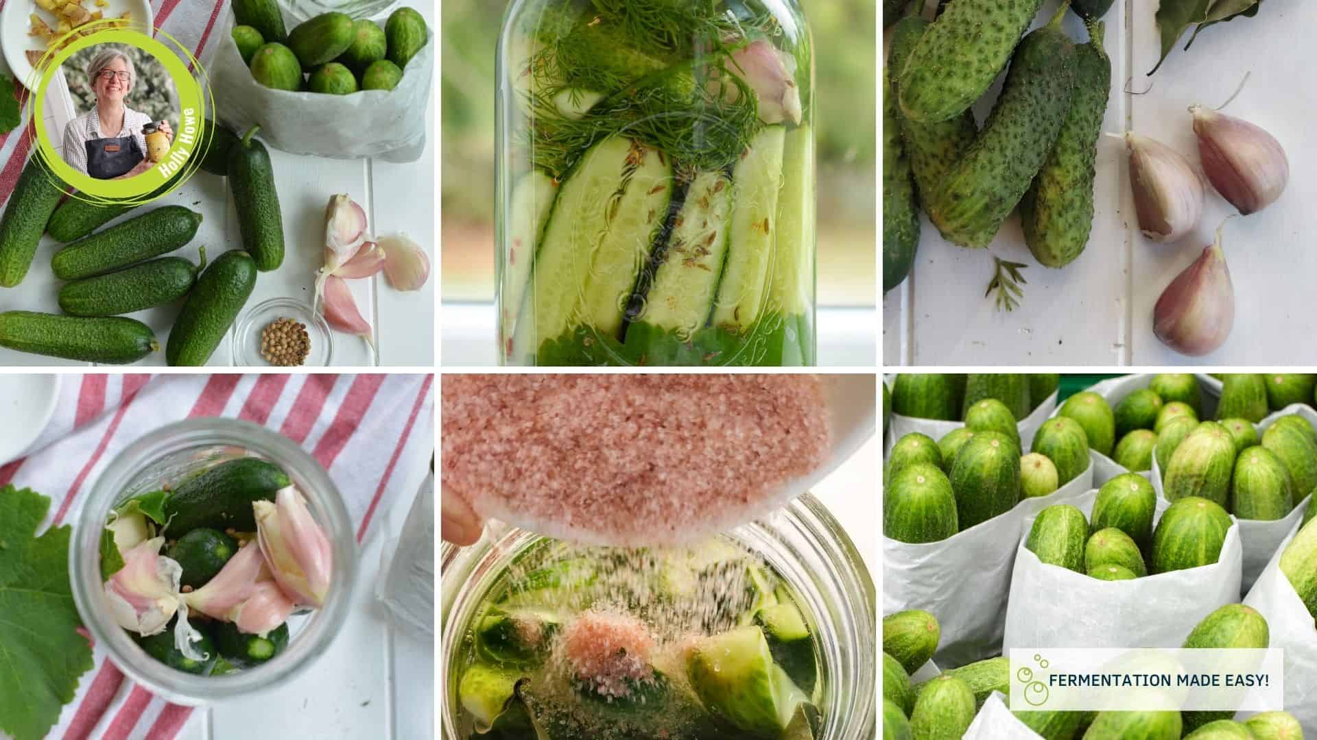 A six image grid showing process of fermenting pickles (tools, pickles in a jar, etc) | MakeSauerkraut.com
