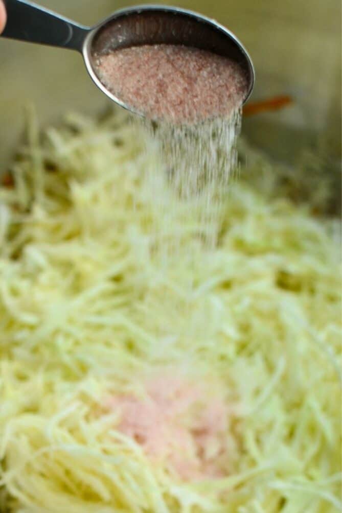 A spoon of salt over cabbage. Woman with plugged nose next to serving of sauerkraut. | MakeSauerkraut.com